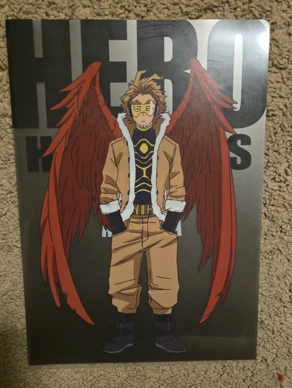 My Hero Academia Hawk Character Clear File